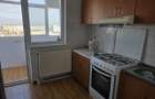 Apartament 2 camere de inchiriat spa?ios, vedere frumoasa, stradal - 10