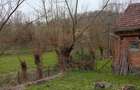 Casa + teren de vanzare, sat Poieni, comuna Densus, Hunedoara - 5