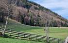 Teren de 6966 mp, în Bran - 27