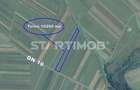 Teren agricol extravilan de 10200 mp, în Teliu - 3
