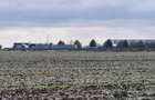 Teren Balotesti-Therme, 18500 euro - 7