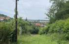 Vand teren intravilan zona A Triaj Re?i?a - 5