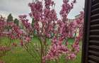 Vand apartament doua camere - 2