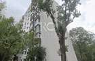 Apartament 2 camere in bloc anvelopat, Raul Doamnei, Drumul Taberei - 1