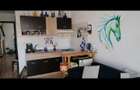 Apartament cu 2 camere semidecomandat în Chitila - 8
