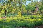 Casa P+1 Acatari | 150 mp | Teren 715 mp | Livada - 10 min de Shopping City - 1