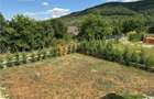 Casă individuală cu 6 camere cu Teren 1000 Mp în Mierea - 25