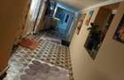 Casa de vanzare mitreni judetul Calarasi - 14