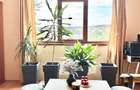 Apartament 67 mp util de vanzare Orizont 2 Paleu, zona metropolitana - 10