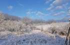 Casa curte 1800m2 zona Colonesti, Olt tel.0733829402 - 2