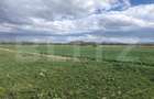 De vanzare teren extravilan 50.000 mp - 2