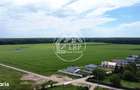 OPORTUNITATE INVESTITIE:Teren intravilan 25.000mp Dascalu-Padure, par - 13
