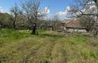 Casă cu Teren 2000 Mp în Valea Fetei - 3