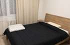 Apartament 2 camere de inchiriat Zona centrala Popa Sapca, Timisoara - 2