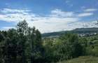 Teren 3.552 mp de vanzare (scrie pe whatsapp) Marginea, zona Dealu Fatului - 7