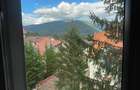 2 camere complex exclusivist, Furnica-Peles, 2025, 75mp, et 2, panorama de vis - 46