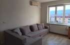 Alexandru Cel Bun Parcul Voievozilor apartament 3 camere 78 mp cu CT - 10