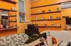 Proprietate Unica Ultracentral | 2 Apartamente pe Etaj | Garaj +Parte subsol - 20