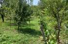 vand casa si teren,acte la zi,apa,lumina,gaze,put - 4