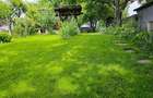 Teren 900 mp, central, str. Obedeanu- spatele Gradinii Botanice - 1
