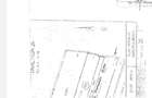 Vand teren 1,2 ha pe centura Braila - 1