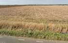 Teren agricol extravilan de 15008 mp, în Nuci - 5