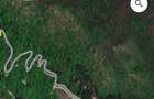 Padure de fag, stejar, cire?, salcam.,66+22hectare. - 5