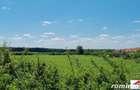 Teren extravilan 3,56 hectare in Dorolt ( ID 22873) - 5