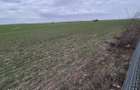 Vanzare teren intravilan 13.852mp, zona depozite Domnesti - 7
