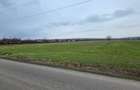 Teren intravilan 3.000 mp - Balanoaia, jud. Giurgiu Vanzare teren intr - 6