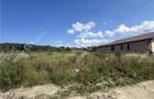 Teren agricol intravilan de 646 mp, în Broscărie - 4