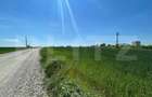 Teren intravilan 25.000 mp, front 300 mp , zona industriala Qfort - 2