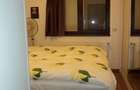 Apartament cu 3 camere decomandat în Bucureștii Noi - 5