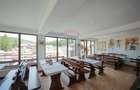 Oportunitate de investi?ie, Restaurantul Piatra Graitoare,Vartop,Bihor - 10