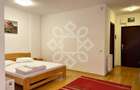 Apartament tip studio de inchiriat in Ared, Oradea - 3