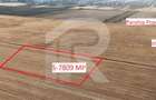 Teren Construcții intravilan de 7809 mp, în Est - 1
