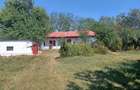 Casă cu 3 camere cu Teren 4658 Mp în Ghimpați - 17