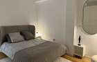 Apartament duplex 2 camere Vasile Lascar - 2
