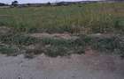 Vand teren intravilan Salcia - 1