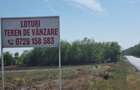 Teren de 560 mp, în Frumușani - 5