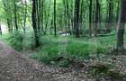 Teren intravilan, 1300 mp, Faget - 1