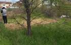 Teren intravilan, str.Capricornului, Domnesti, Ilfov-850 mp - 2