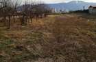 Teren de 934 mp, în Bartolomeu - 1