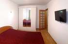 Apartament spatios cu 2 camere, decomandat, la parter, in Astra, Brasov - 4