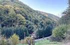 Teren pentru casa de vacanta pe Valea Bratcutei, Bihor - 12