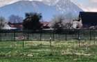 Teren Construcții de 1400 mp, în Cristian - 2