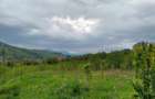 Conac boieresc si teren de vanzare, Drajna de Sus, jud. Prahova - 8