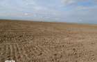 Teren extravilan Scurtu Mare, ID: R2928611 - 11