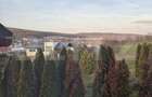 Casa de vanzare in Corunca, ideala pentru 2 familii sau pensiune - 13