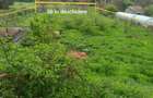Teren intravilan de 2400 mp, în Priboiu (Tătărani) - 5